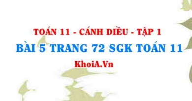 Bài 5 trang 72 SGK Toán 11 tập 1 Cánh Diều